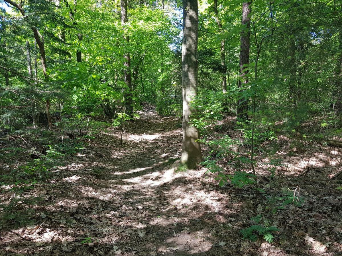 Knusse 5 Persoons Bungalow Hartje Veluwe Otterlo Ngoại thất bức ảnh