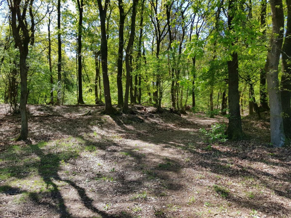 Knusse 5 Persoons Bungalow Hartje Veluwe Otterlo Ngoại thất bức ảnh