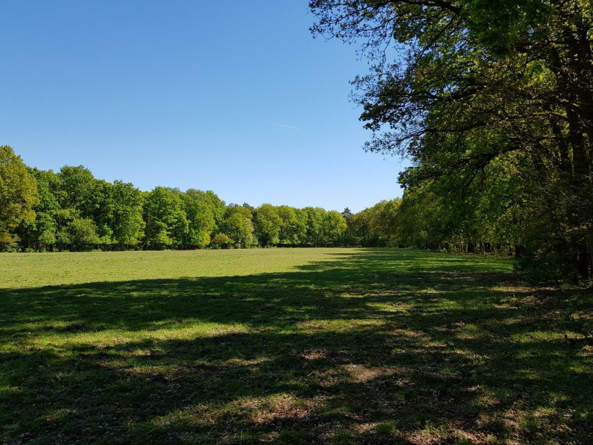Knusse 5 Persoons Bungalow Hartje Veluwe Otterlo Ngoại thất bức ảnh